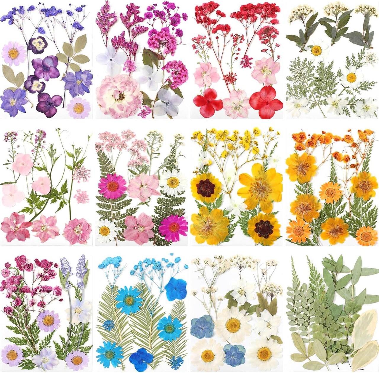 12 Packs Real Dried Flowers for Crafts, Birth Month Flower, Bulk Natural Pressed Flowers for Resin, Scrapbooking, Bookmarks, Glass Frames, Cake Decor with Tweezers - Muti Color